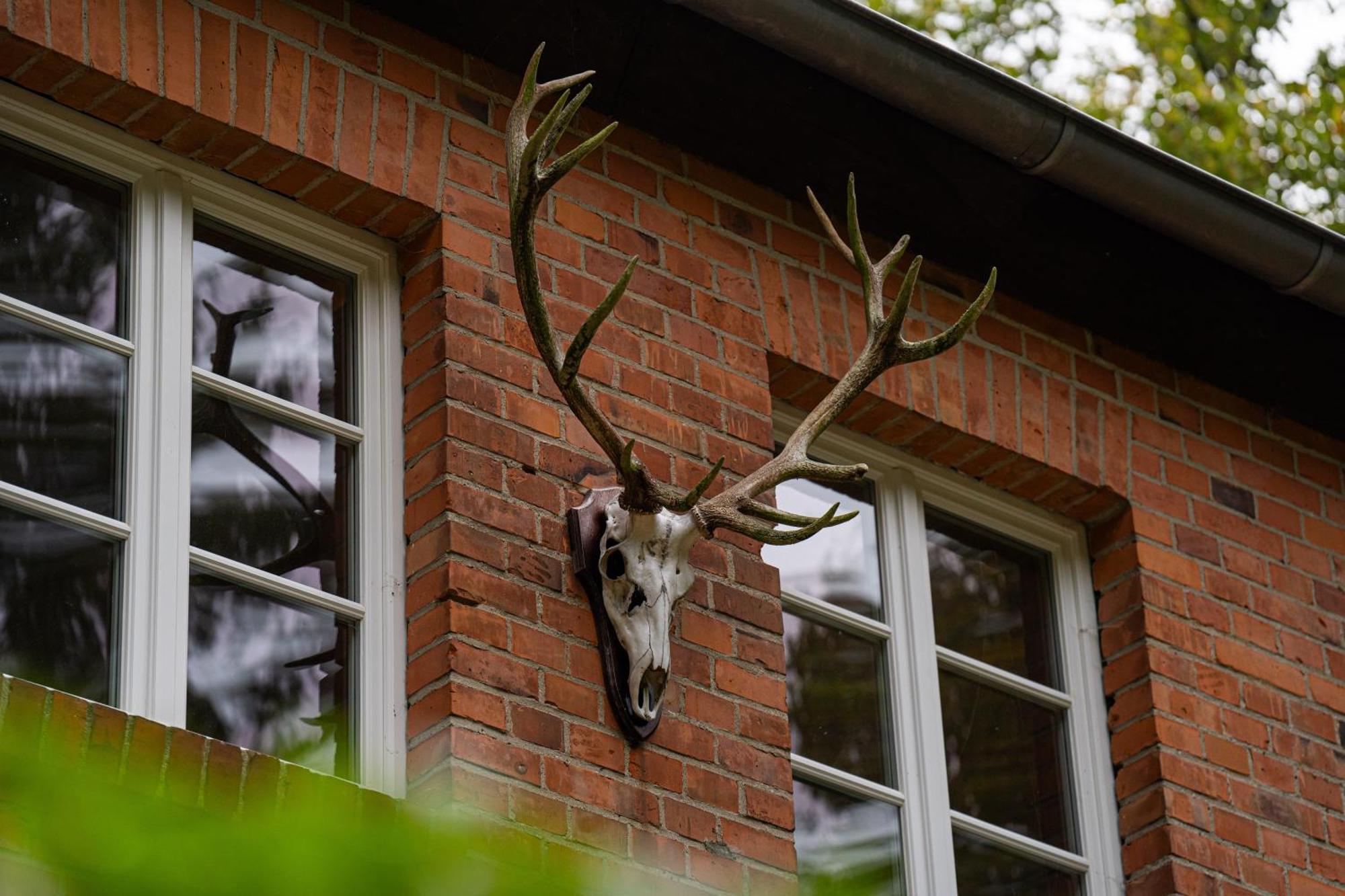 Wald- Und Seeidyll Im Historischen Forsthaus Neuruppin Exterior foto